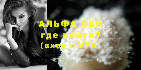 стаф Алексин