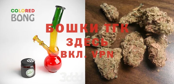 дурь Осинники