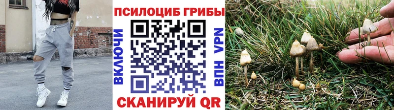 Галлюциногенные грибы прущие грибы Красноуральск